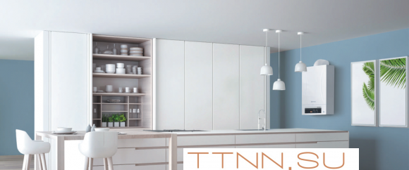 Настенный газовый котел Thermex Andromeda HM30 Настенный газовый котел Thermex Andromeda HM30