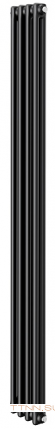 Стальной трубчатый радиатор 2-колончатый Royal Thermo Insignia C2180 - 04 секц. RAL9005m, боковое 1/2