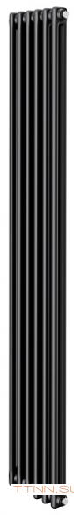 Стальной трубчатый радиатор 2-колончатый Royal Thermo Insignia C2180 - 06 секц. RAL9005m, боковое 1/2