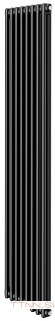 Стальной трубчатый радиатор 2-колончатый Royal Thermo Insignia C2180 - 08 секц. RAL9005m, боковое 1/2