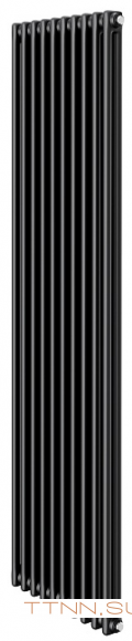 Стальной трубчатый радиатор 2-колончатый Royal Thermo Insignia C2180 - 10 секц. RAL9005m, боковое 1/2