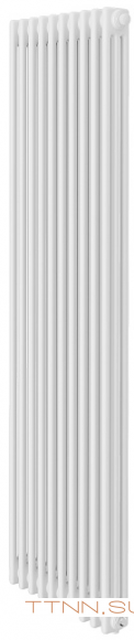 Стальной трубчатый радиатор 2-колончатый Royal Thermo Insignia C2180 - 10 секц. RAL9016, боковое 1/2