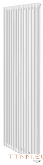 Стальной трубчатый радиатор 2-колончатый Royal Thermo Insignia C2180 - 14 секц. RAL9016, боковое 1/2