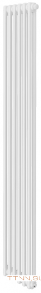 Стальной трубчатый радиатор 2-колончатый Royal Thermo Insignia VC2180 - 06 секц. RAL9016, нижнее 1/2