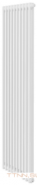 Стальной трубчатый радиатор 2-колончатый Royal Thermo Insignia VC2180 - 10 секц. RAL9016, нижнее 1/2