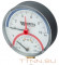 Термоманометр радиальный Watts FR 828(TMRA) 10 бар